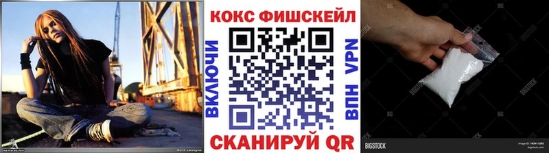COCAIN Fish Scale  Купить  Кинель 